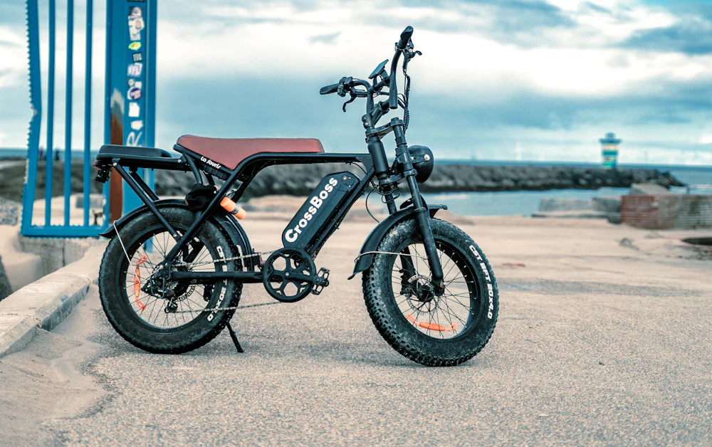 Rijklare fatbike op de kade